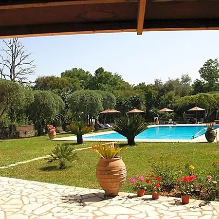 Fiori 2*